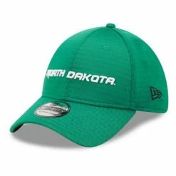 College Hats & Caps New Era North Dakota Fighting Hawks Essential Neo Hat