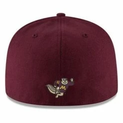 College Hats & Caps New Era Minnesota Golden Gophers TC Hat -Cheap New Era Store unnamed file 41
